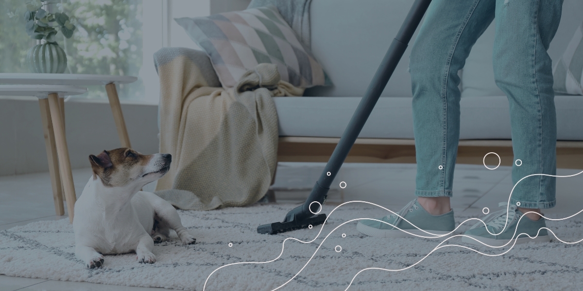 5 Signs Your HubSpot Data Needs a Clean-Up (and How to Start)